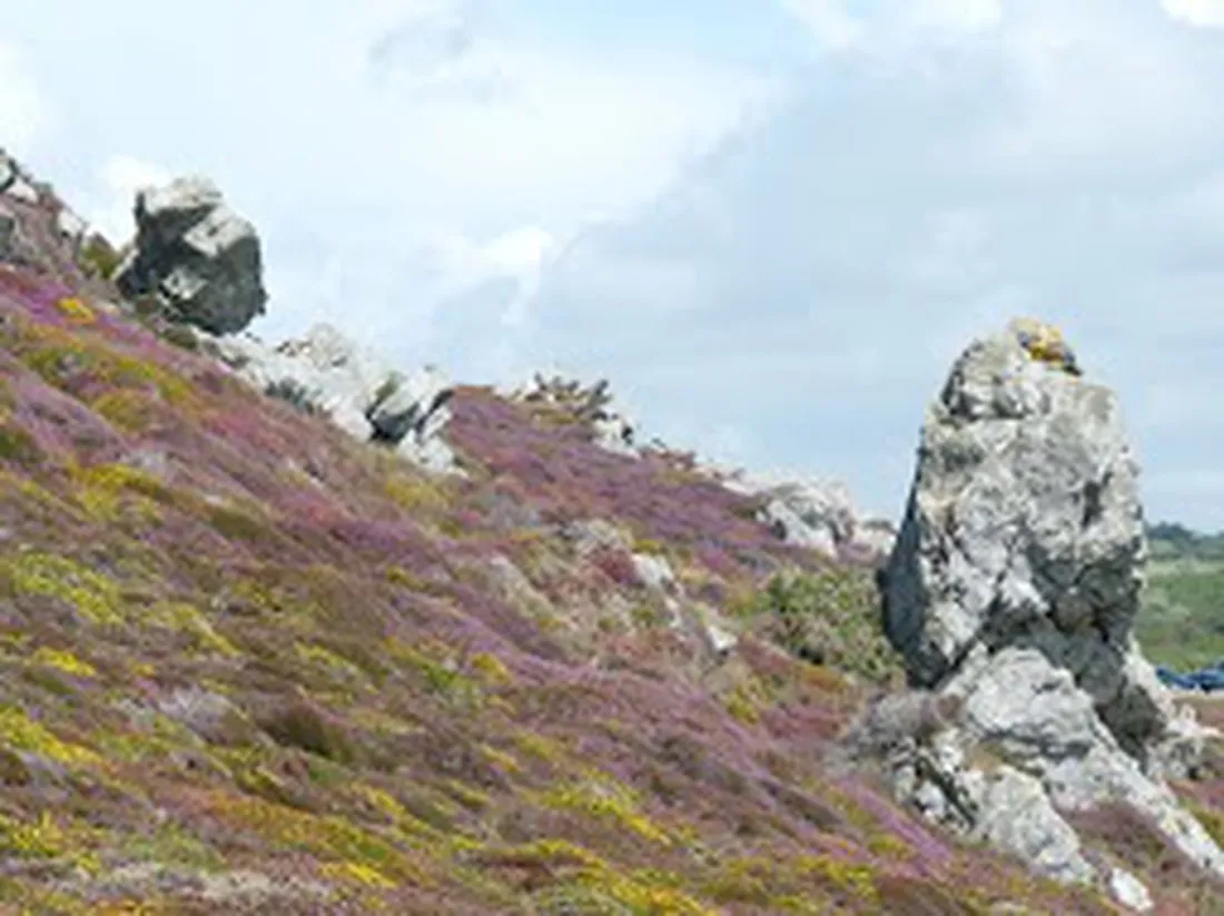 les-bruyeres-crozon-smtgz