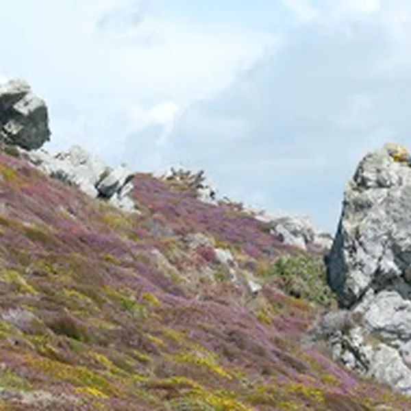 les-bruyeres-crozon-smtgz