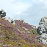 les-bruyeres-crozon-smtgz