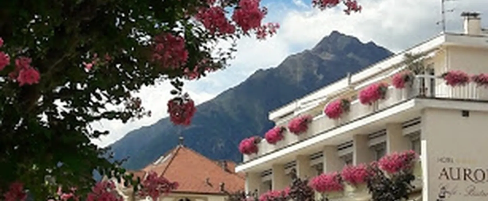 Goldrain