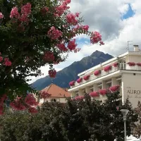 goldrain-goldrain-djajl