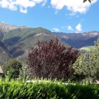 goldrain-goldrain-fdeai