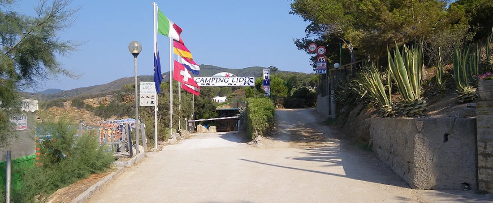 Lido