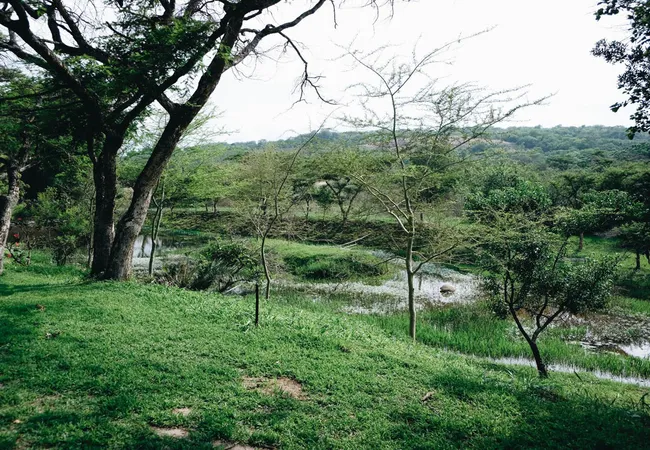 rockview-lodge-campsite-nelspruit-qvtcq