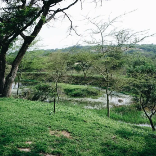 rockview-lodge-campsite-nelspruit-qvtcq