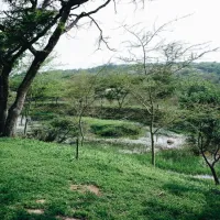 rockview-lodge-campsite-nelspruit-qvtcq