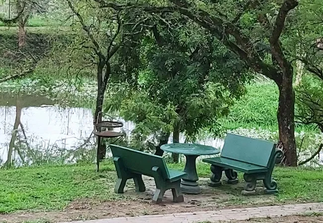 rockview-lodge-campsite-nelspruit-up7cr