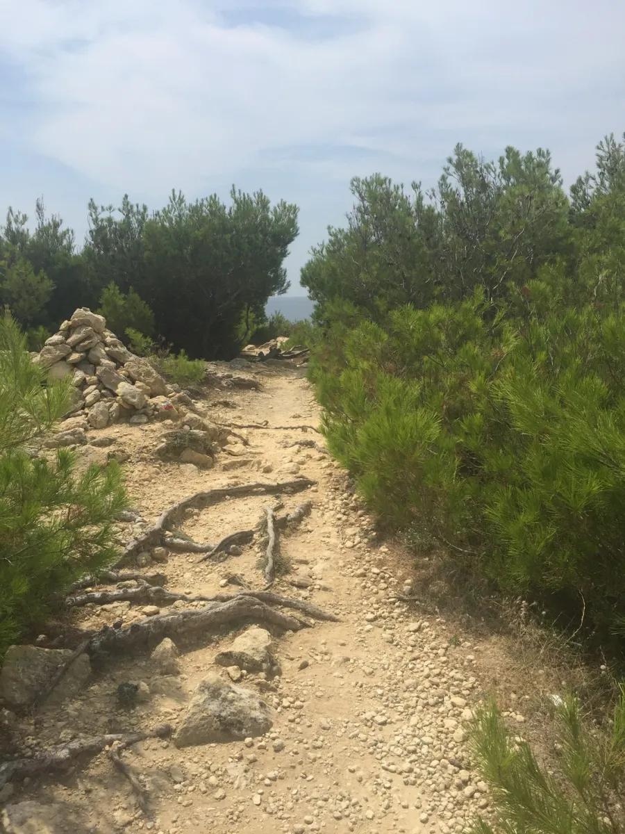 le-mas-martigues-40wgt
