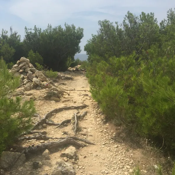 le-mas-martigues-40wgt
