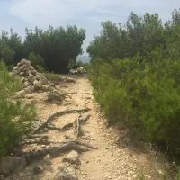 le-mas-martigues-40wgt