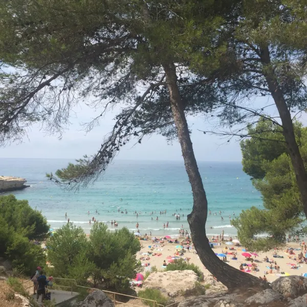 le-mas-martigues-wgvav