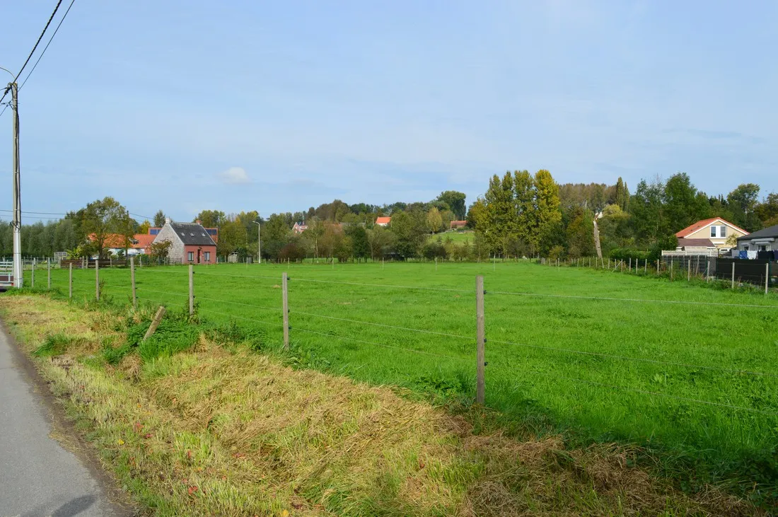 canteclaer-zwalm-roborst-2h6ud