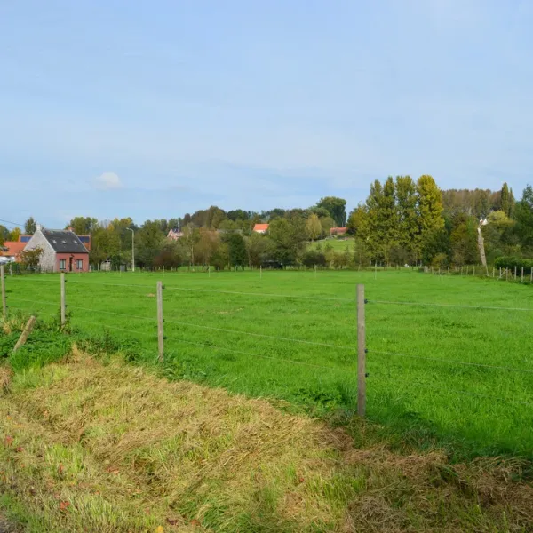 canteclaer-zwalm-roborst-2h6ud
