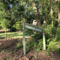 pine-hill-campground-waynesboro-86tgf