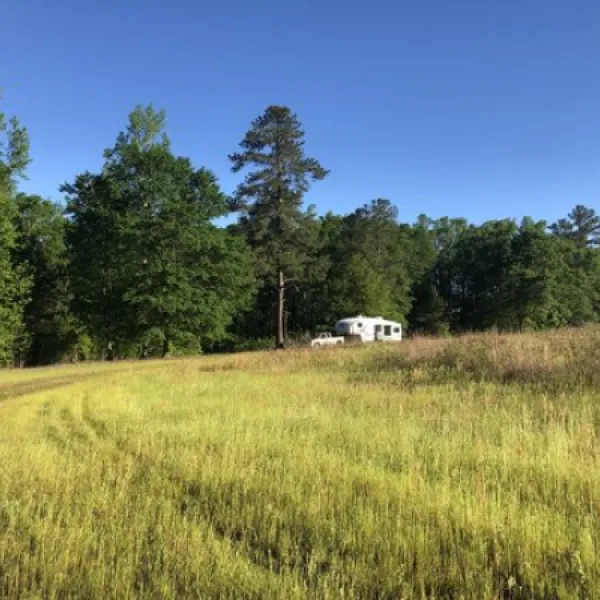 Pine Hill Campground