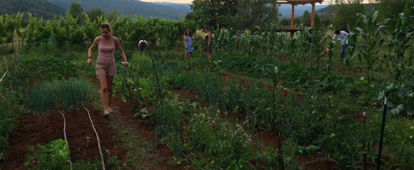 Eco Community Garden Camping