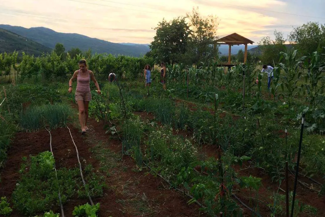 eco-community-garden-camping-podgorica-trgj1