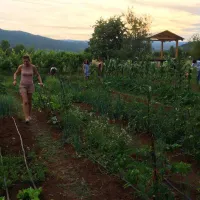 eco-community-garden-camping-podgorica-trgj1
