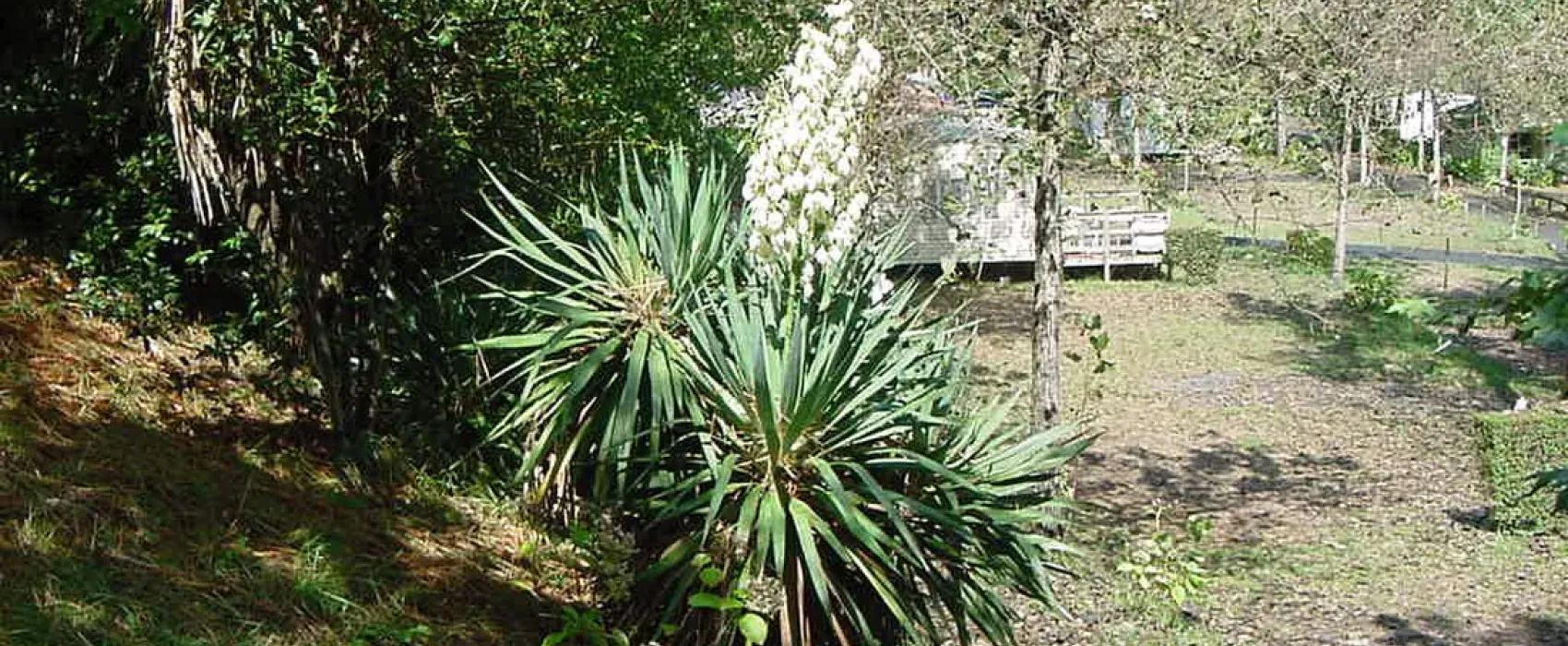 Residence des Pins