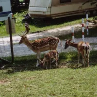 campingplatz-sonnenhof-ellwangen-pfahlheim-qmmxf