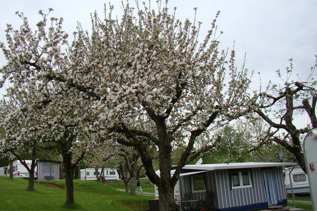 camping-paul-walther-rottenburg-pozcv
