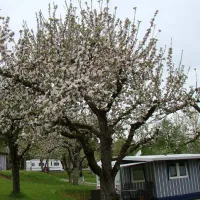 camping-paul-walther-rottenburg-pozcv