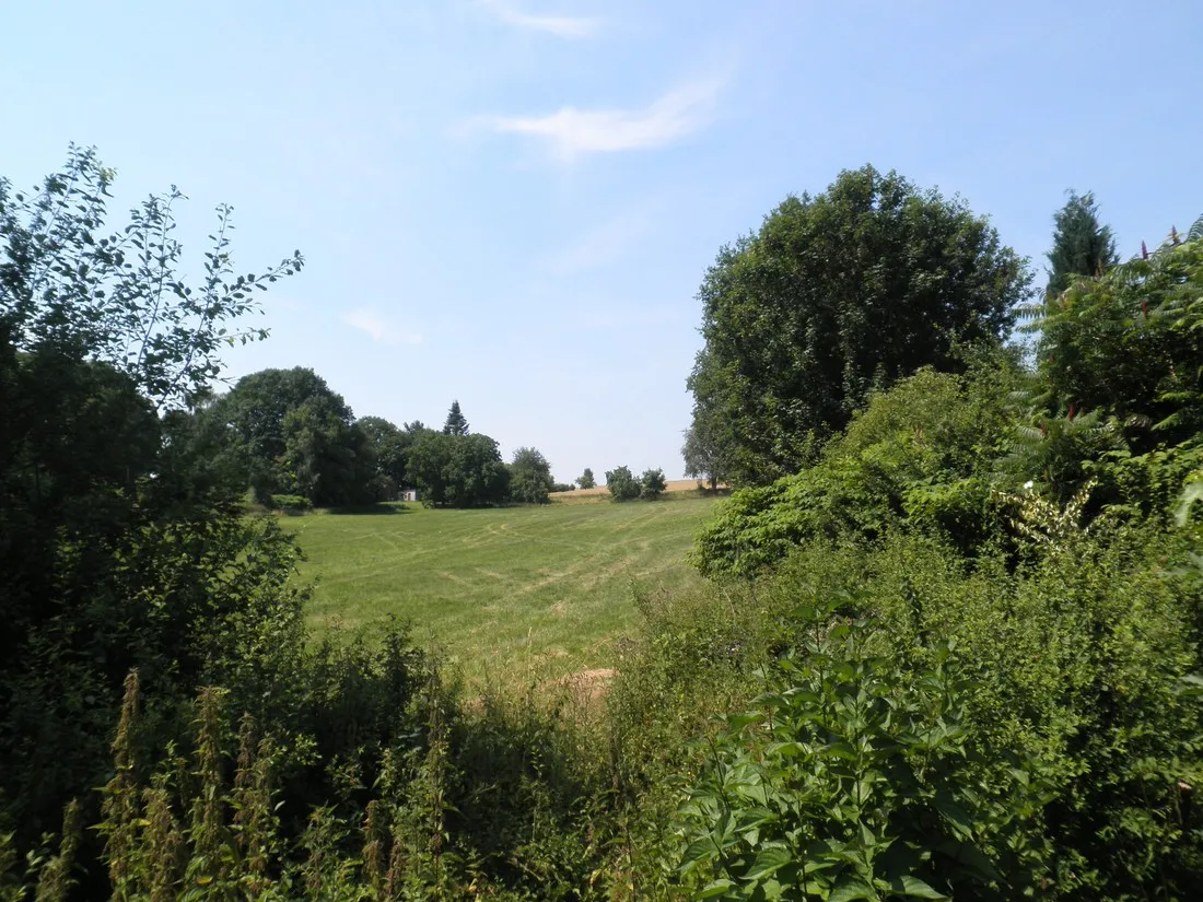 bambi-rott-extertal-teuroburgerwoud-en14r
