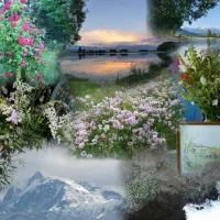 la-motte-flottante-la-freissinouse-qqh2s
