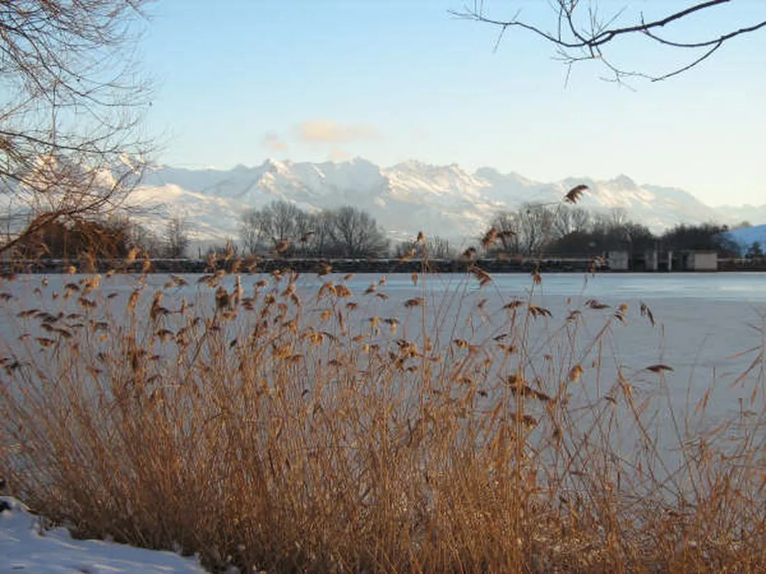 la-motte-flottante-la-freissinouse-rvx53