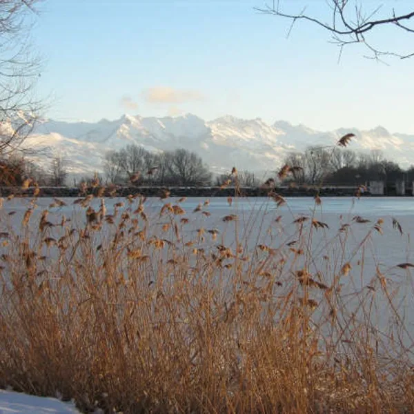 la-motte-flottante-la-freissinouse-rvx53