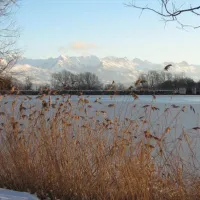 la-motte-flottante-la-freissinouse-rvx53