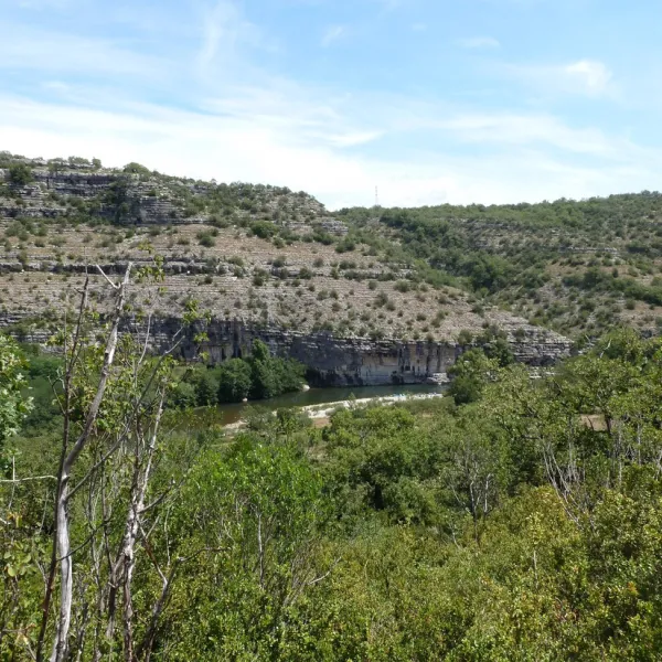 lou-rouchetou-chassagnes-les-vans-imgae
