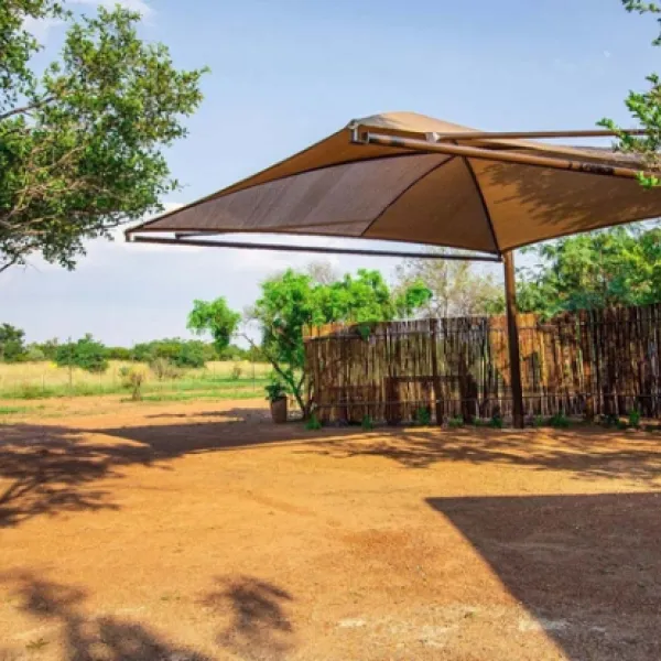 bushbabies-camp-hammanskraal-dinokeng-4xsfv