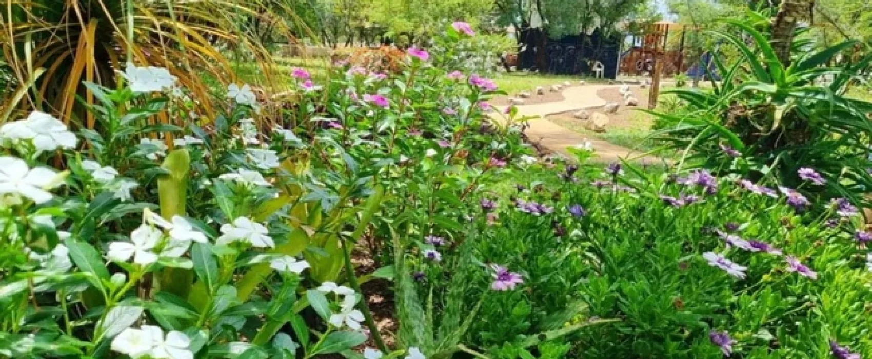 Bushbabies Camp