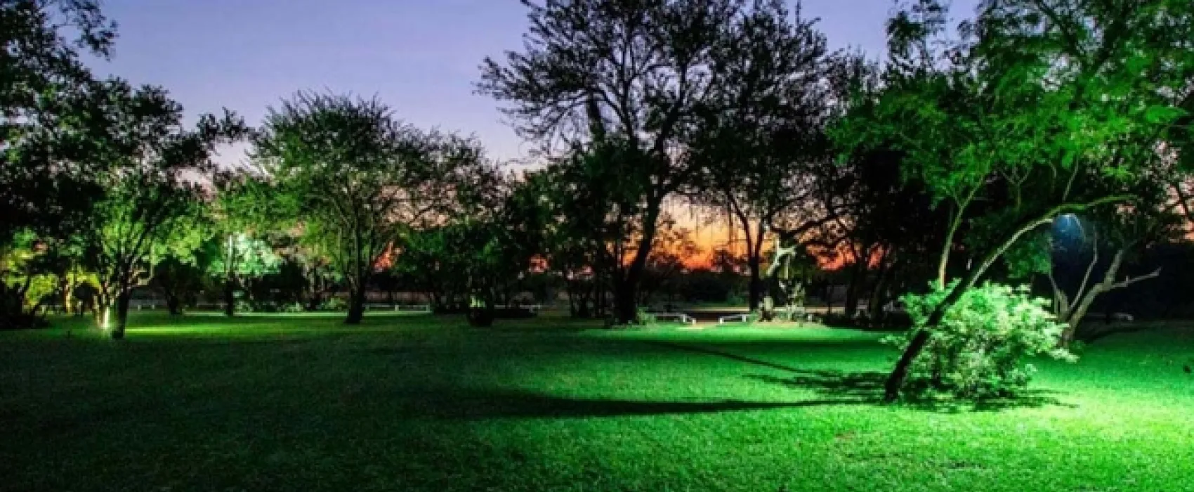 Bushbabies Camp