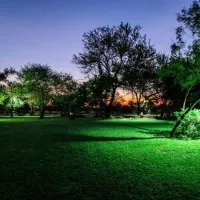 bushbabies-camp-hammanskraal-dinokeng-8n73h