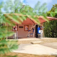 bushbabies-camp-hammanskraal-dinokeng-nivyv