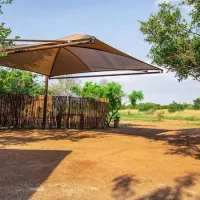 bushbabies-camp-hammanskraal-dinokeng-nmyyz