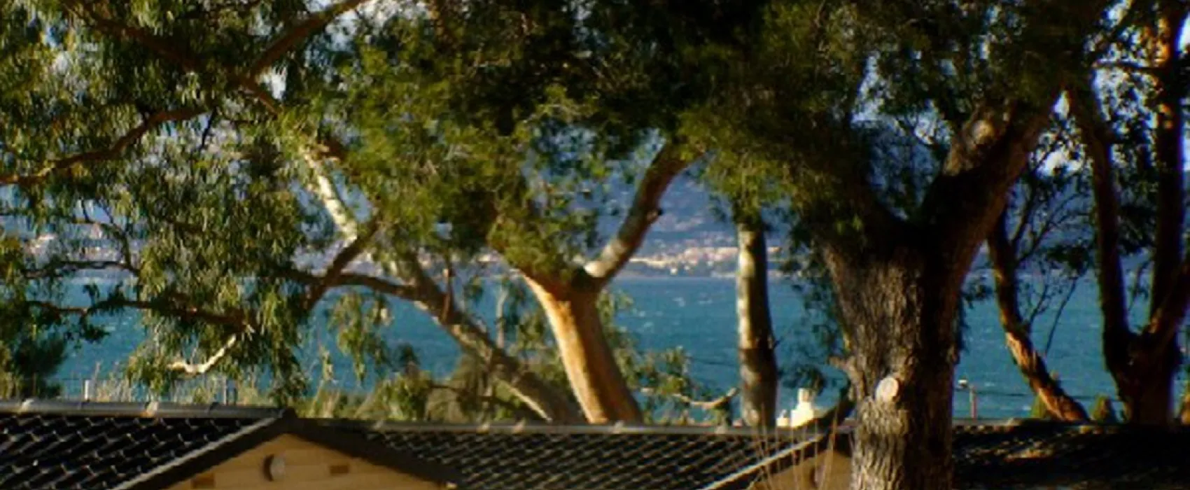 Le Clair de Lune