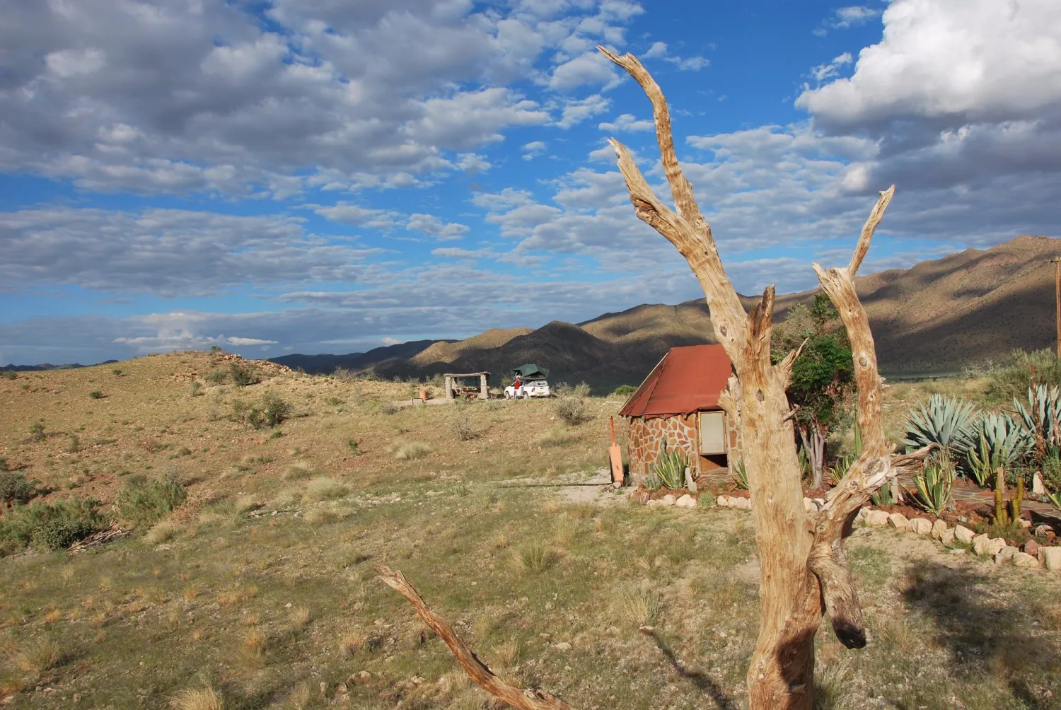 camp-gecko-eagle-camp-mgxib