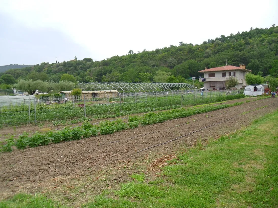 le-calle-bolsena-t8n6c
