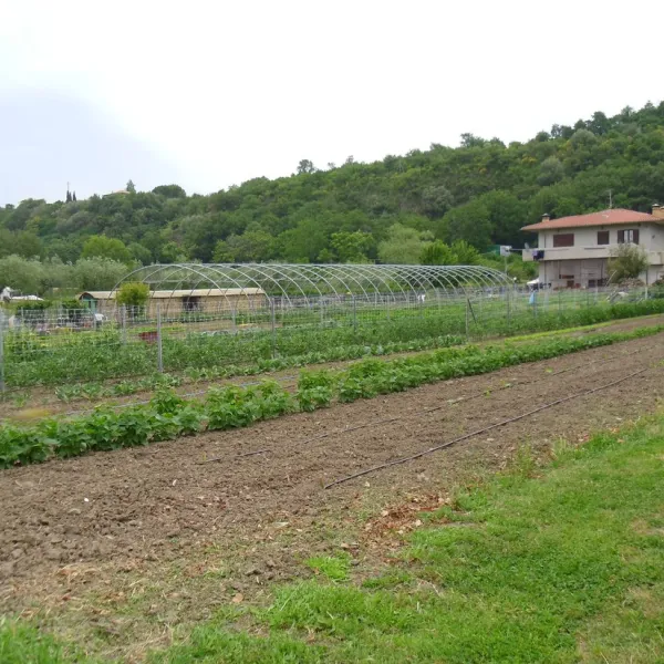 le-calle-bolsena-t8n6c