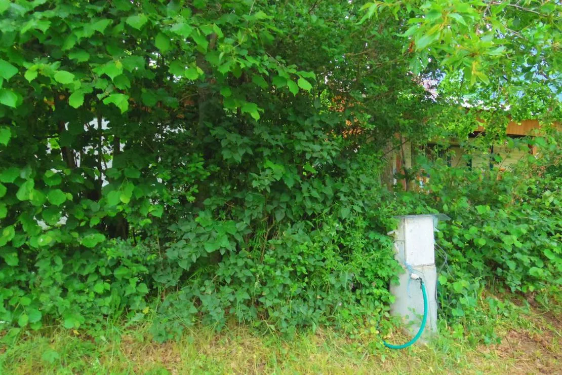 camping-le-serre-la-motte-en-champsaur-blwyi