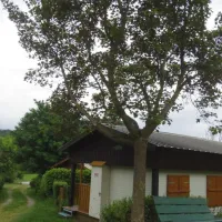 camping-le-serre-la-motte-en-champsaur-onjdt