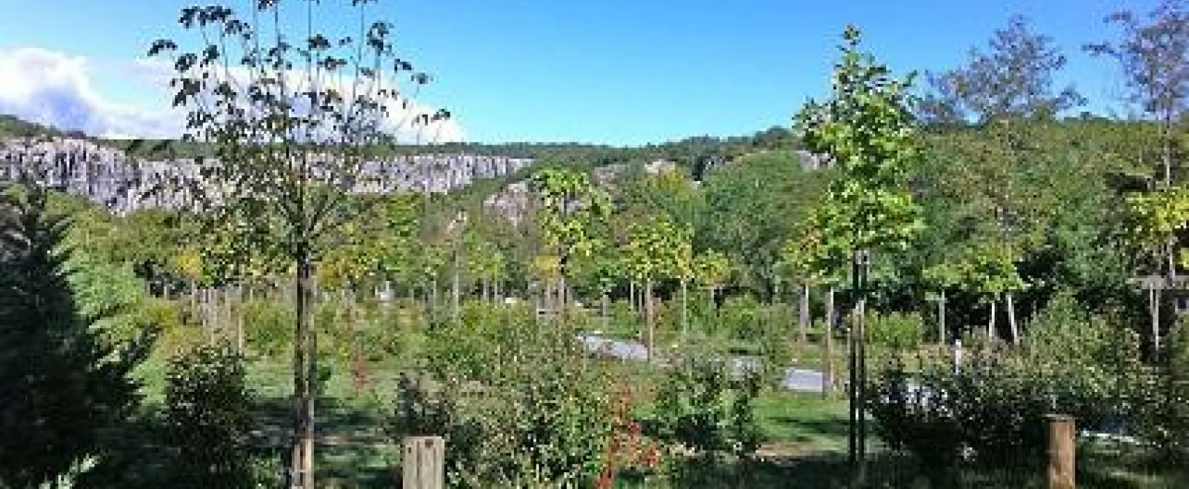 Du Pont