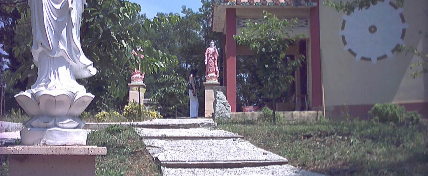 Les Acacias