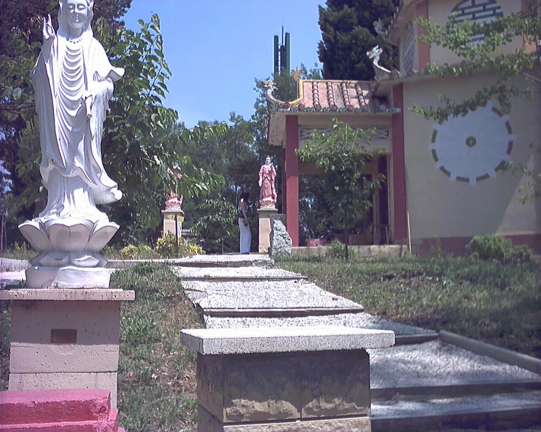 les-acacias-frejus-ohvmy