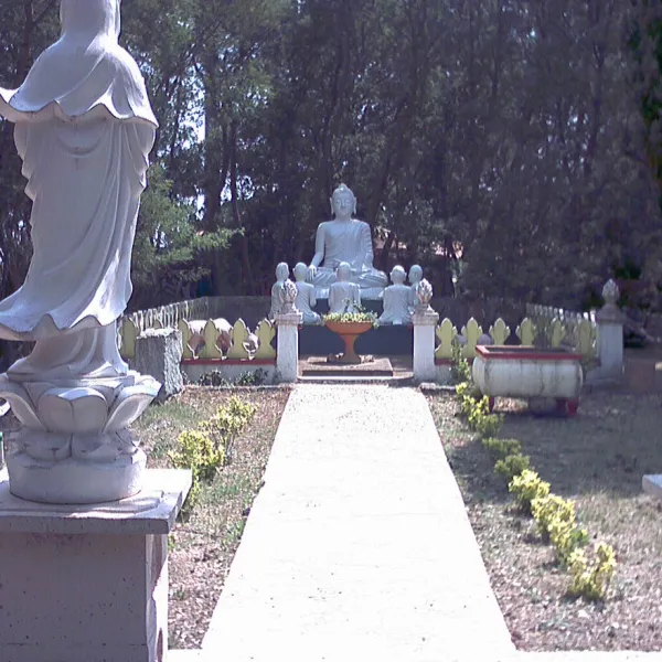 les-acacias-frejus-s0vnc