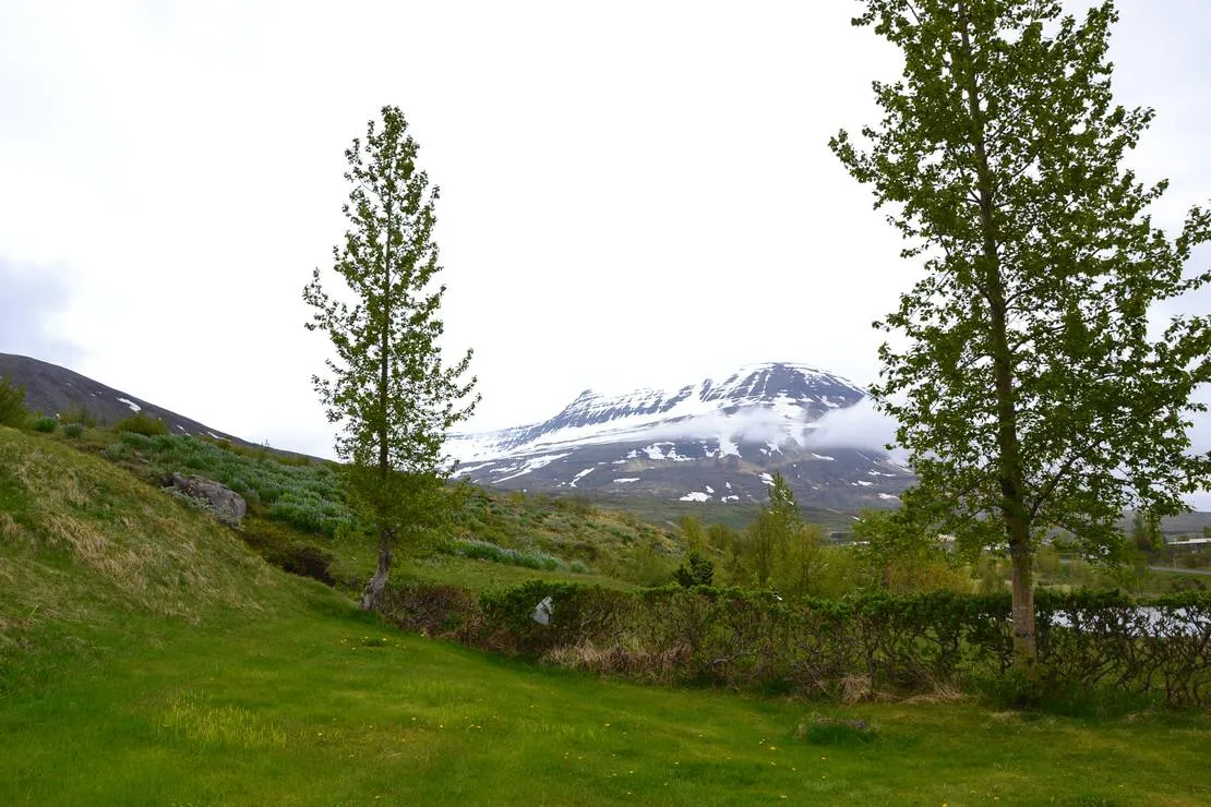 camping-reydarfjordur-reydarfjordur-uotp1