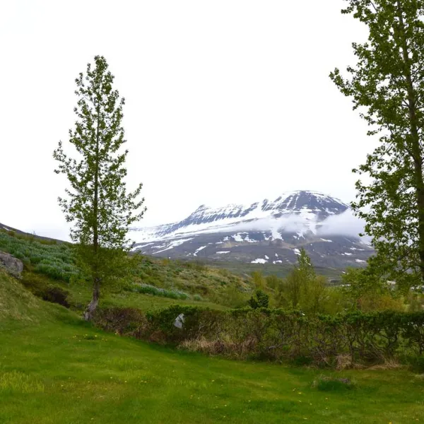 camping-reydarfjordur-reydarfjordur-uotp1